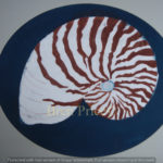 Nautilus Shell